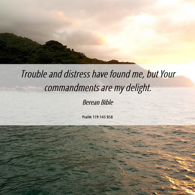 Picture 06 - Psalm 119:143 BSB - Trouble and distress have found me, but Your - Bible Verse Picture