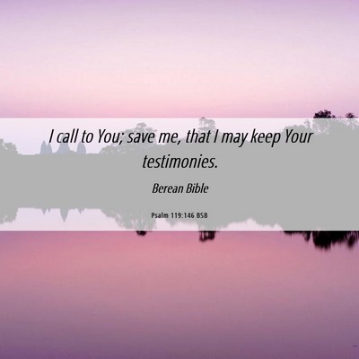Picture 06 - Psalm 119:146 BSB - I call to You; save me, that I may keep Your - Bible Verse Picture