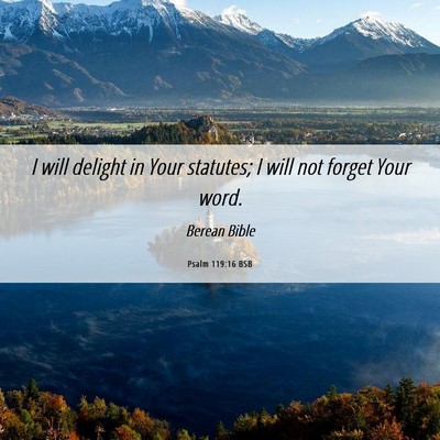 Picture 06 - Psalm 119:16 BSB - I will delight in Your statutes; I will not - Bible Verse Picture