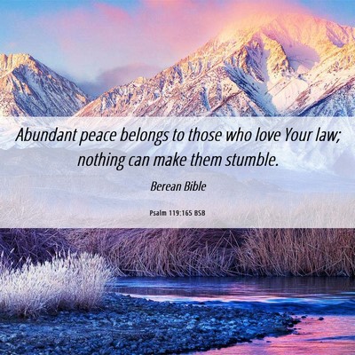 Picture 06 - Psalm 119:165 BSB - Abundant peace belongs to those who love Your - Bible Verse Picture