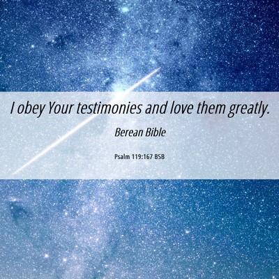 Picture 06 - Psalm 119:167 BSB - I obey Your testimonies and love them - Bible Verse Picture