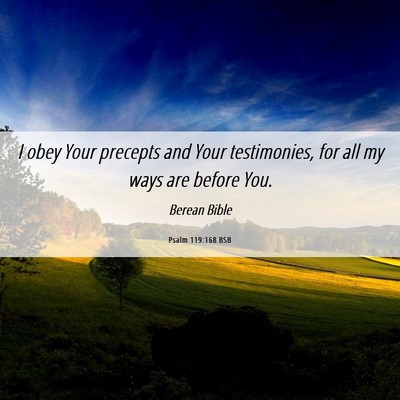 Picture 06 - Psalm 119:168 BSB - I obey Your precepts and Your testimonies, for - Bible Verse Picture