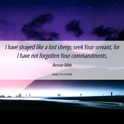 Picture 06 - Psalm 119:176 BSB - I have strayed like a lost sheep; seek Your - Bible Verse Picture