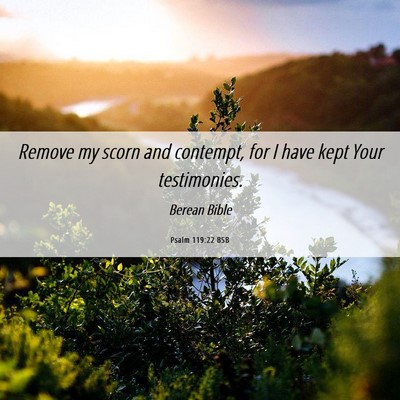 Picture 06 - Psalm 119:22 BSB - Remove my scorn and contempt, for I have kept - Bible Verse Picture