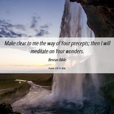 Picture 06 - Psalm 119:27 BSB - Make clear to me the way of Your precepts; then I - Bible Verse Picture