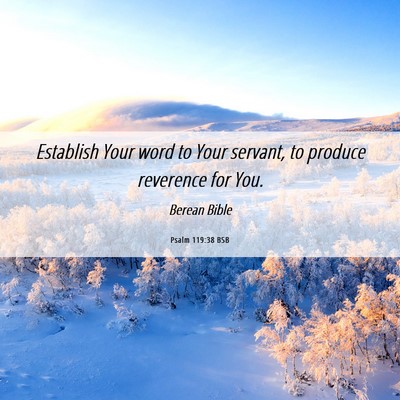 Picture 06 - Psalm 119:38 BSB - Establish Your word to Your servant, to produce - Bible Verse Picture