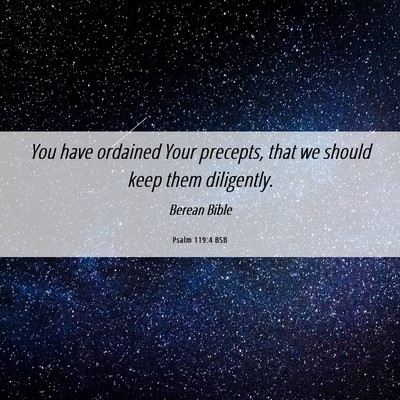 Picture 06 - Psalm 119:4 BSB - You have ordained Your precepts, that we should - Bible Verse Picture