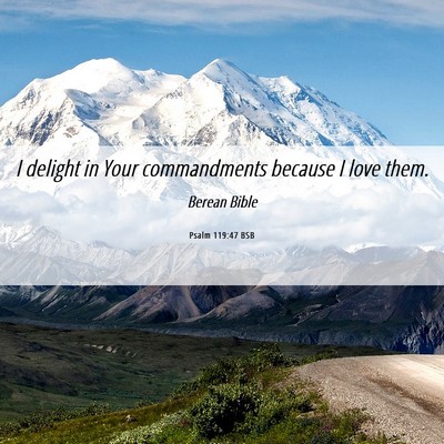 Picture 06 - Psalm 119:47 BSB - I delight in Your commandments because I love - Bible Verse Picture