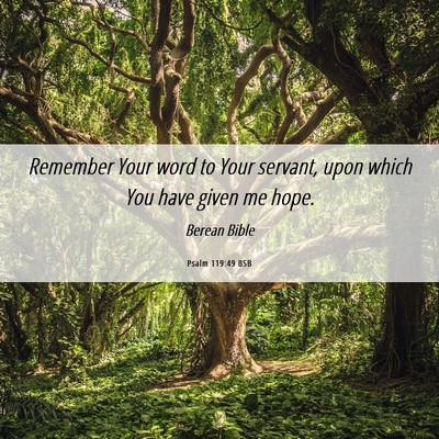 Picture 06 - Psalm 119:49 BSB - Remember Your word to Your servant, upon which - Bible Verse Picture