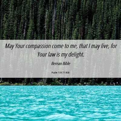 Picture 06 - Psalm 119:77 BSB - May Your compassion come to me, that I may live, - Bible Verse Picture