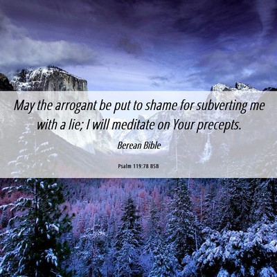 Picture 06 - Psalm 119:78 BSB - May the arrogant be put to shame for subverting - Bible Verse Picture