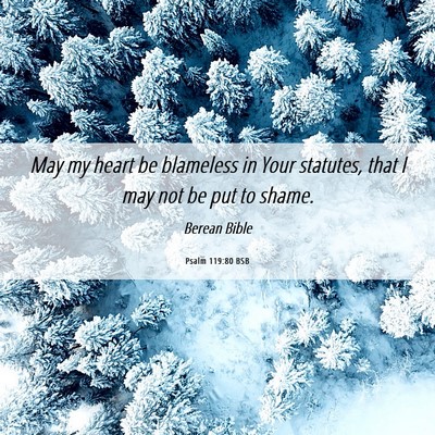 Picture 06 - Psalm 119:80 BSB - May my heart be blameless in Your statutes, that - Bible Verse Picture