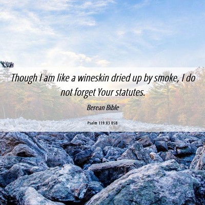 Picture 06 - Psalm 119:83 BSB - Though I am like a wineskin dried up by smoke, I - Bible Verse Picture