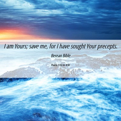 Picture 06 - Psalm 119:94 BSB - I am Yours; save me, for I have sought Your - Bible Verse Picture