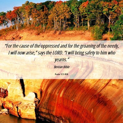 Picture 06 - Psalm 12:5 BSB - “For the cause of the oppressed and for the - Bible Verse Picture