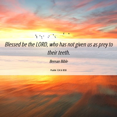 Picture 06 - Psalm 124:6 BSB - Blessed be the LORD, who has not given us as prey - Bible Verse Picture