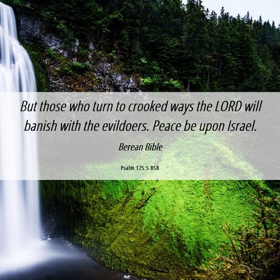 Picture 06 - Psalm 125:5 BSB - But those who turn to crooked ways the LORD will - Bible Verse Picture