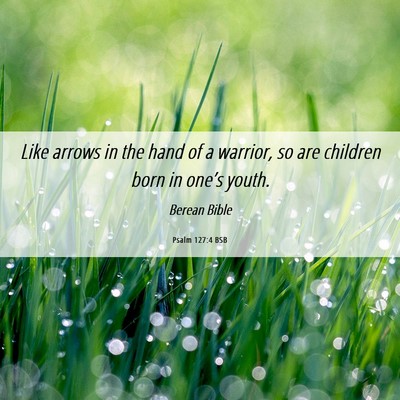 Picture 06 - Psalm 127:4 BSB - Like arrows in the hand of a warrior, so are - Bible Verse Picture