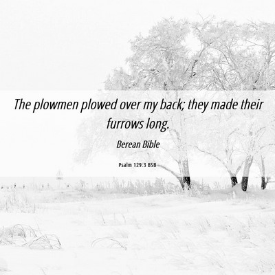 Picture 06 - Psalm 129:3 BSB - The plowmen plowed over my back; they made their - Bible Verse Picture