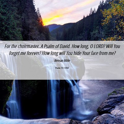 Picture 06 - Psalm 13:1 BSB - For the choirmaster. A Psalm of David. How long, - Bible Verse Picture
