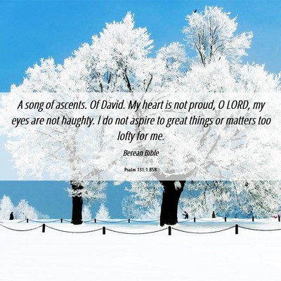 Picture 06 - Psalm 131:1 BSB - A song of ascents. Of David. My heart is not - Bible Verse Picture