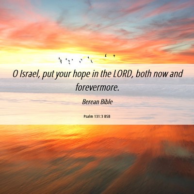 Picture 06 - Psalm 131:3 BSB - O Israel, put your hope in the LORD, both now and - Bible Verse Picture