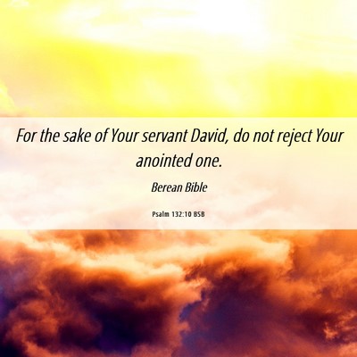 Picture 06 - Psalm 132:10 BSB - For the sake of Your servant David, do not reject - Bible Verse Picture