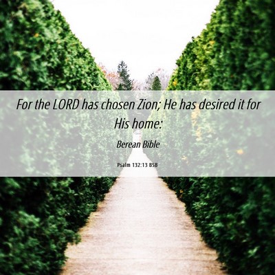 Picture 06 - Psalm 132:13 BSB - For the LORD has chosen Zion; He has desired it - Bible Verse Picture