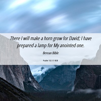 Picture 06 - Psalm 132:17 BSB - There I will make a horn grow for David; I have - Bible Verse Picture