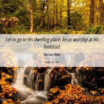 Picture 06 - Psalm 132:7 BSB - Let us go to His dwelling place; let us worship - Bible Verse Picture