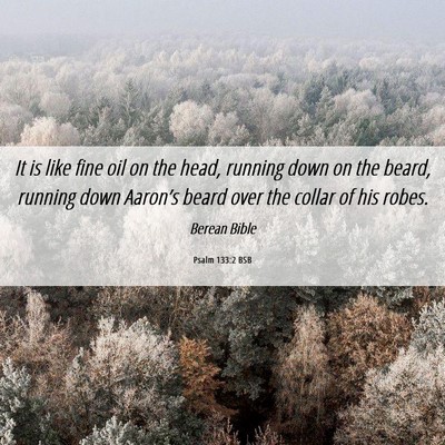Picture 06 - Psalm 133:2 BSB - It is like fine oil on the head, running down on - Bible Verse Picture