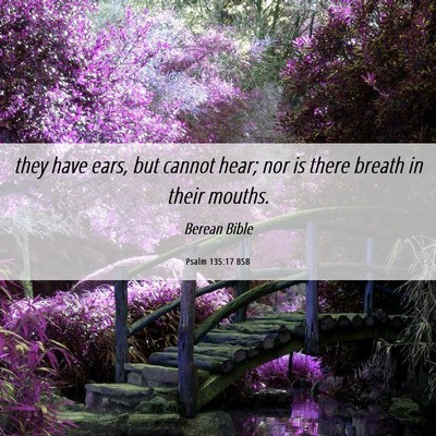 Picture 06 - Psalm 135:17 BSB - they have ears, but cannot hear; nor is there - Bible Verse Picture