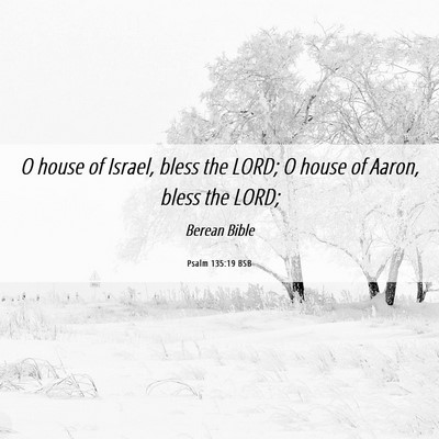 Picture 06 - Psalm 135:19 BSB - O house of Israel, bless the LORD; O house of - Bible Verse Picture