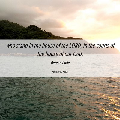 Picture 06 - Psalm 135:2 BSB - who stand in the house of the LORD, in the courts - Bible Verse Picture