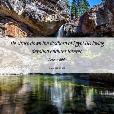 Picture 06 - Psalm 136:10 BSB - He struck down the firstborn of Egypt His loving - Bible Verse Picture