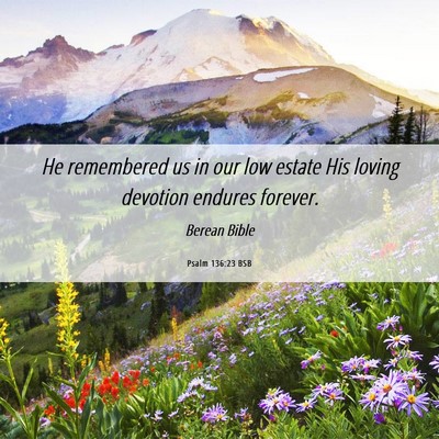 Picture 06 - Psalm 136:23 BSB - He remembered us in our low estate His loving - Bible Verse Picture