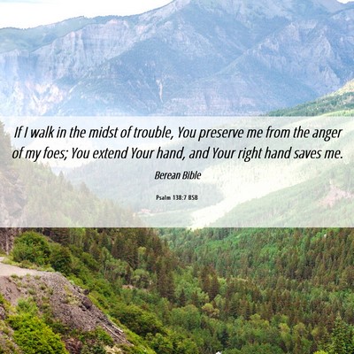 Picture 06 - Psalm 138:7 BSB - If I walk in the midst of trouble, You preserve - Bible Verse Picture