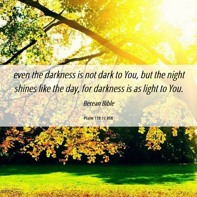 Picture 06 - Psalm 139:12 BSB - even the darkness is not dark to You, but the - Bible Verse Picture