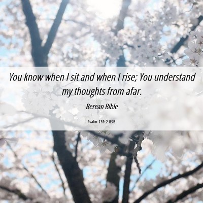 Picture 06 - Psalm 139:2 BSB - You know when I sit and when I rise; You - Bible Verse Picture