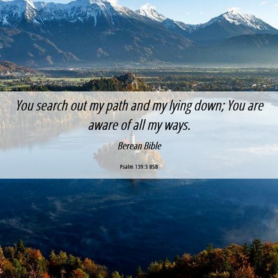 Picture 06 - Psalm 139:3 BSB - You search out my path and my lying down; You are - Bible Verse Picture