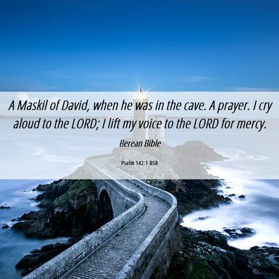 Picture 06 - Psalm 142:1 BSB - A Maskil of David, when he was in the cave. A - Bible Verse Picture