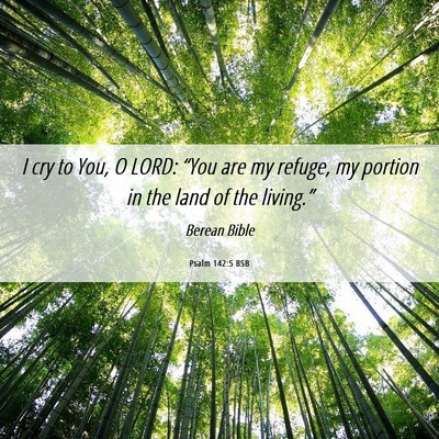 Picture 06 - Psalm 142:5 BSB - I cry to You, O LORD: “You are my refuge, my - Bible Verse Picture