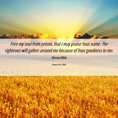 Picture 06 - Psalm 142:7 BSB - Free my soul from prison, that I may praise Your - Bible Verse Picture
