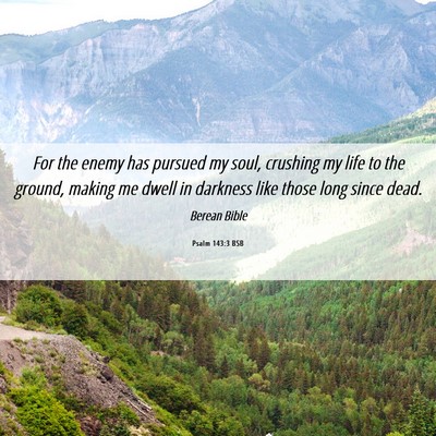 Picture 06 - Psalm 143:3 BSB - For the enemy has pursued my soul, crushing my - Bible Verse Picture