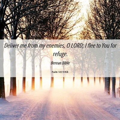 Picture 06 - Psalm 143:9 BSB - Deliver me from my enemies, O LORD; I flee to You - Bible Verse Picture