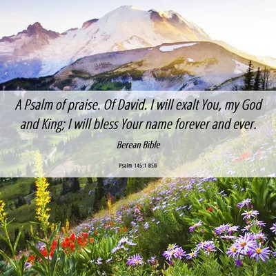 Picture 06 - Psalm 145:1 BSB - A Psalm of praise. Of David. I will exalt You, my - Bible Verse Picture