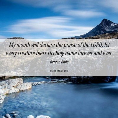 Picture 06 - Psalm 145:21 BSB - My mouth will declare the praise of the LORD; let - Bible Verse Picture