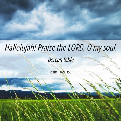 Picture 06 - Psalm 146:1 BSB - Hallelujah! Praise the LORD, O my - Bible Verse Picture