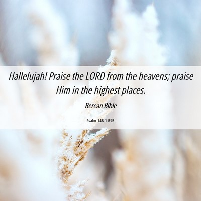 Picture 06 - Psalm 148:1 BSB - Hallelujah! Praise the LORD from the heavens; - Bible Verse Picture