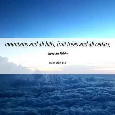 Picture 06 - Psalm 148:9 BSB - mountains and all hills, fruit trees and all - Bible Verse Picture